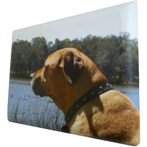 Rounded Edge Canvas